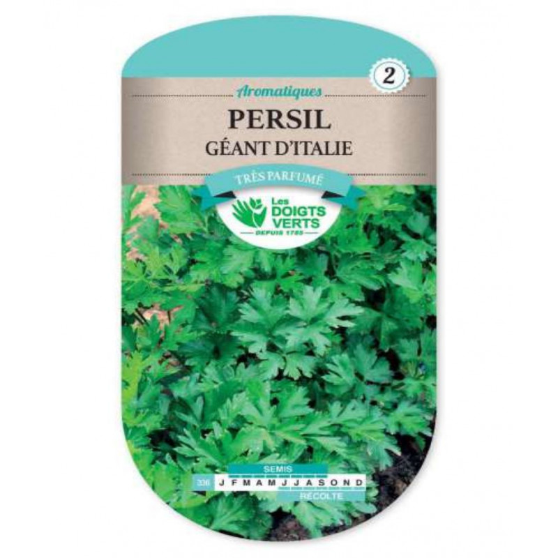 PERSIL GEANT D ITALIE 2