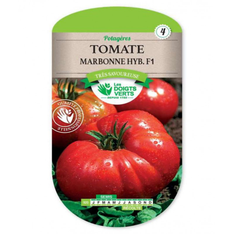 TOMATE MARBONNE F1