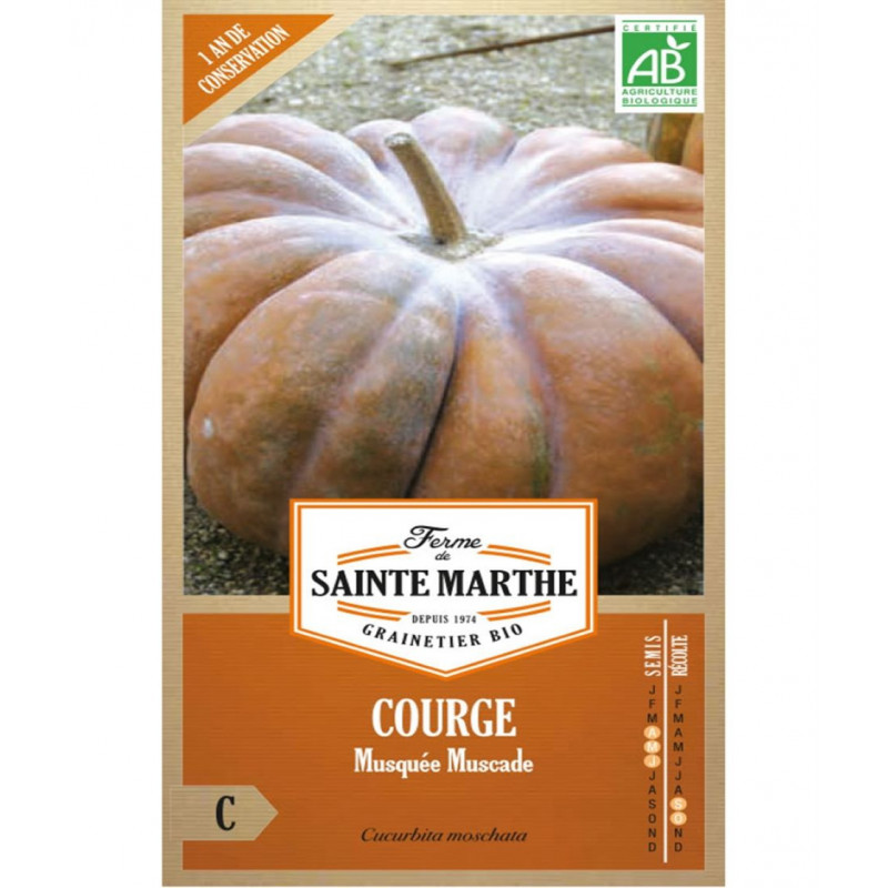 COURGE MUSQUEE MUSCADE C*