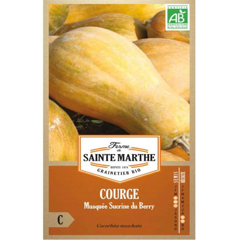 COURGE MUSQUEE SUCRINE...