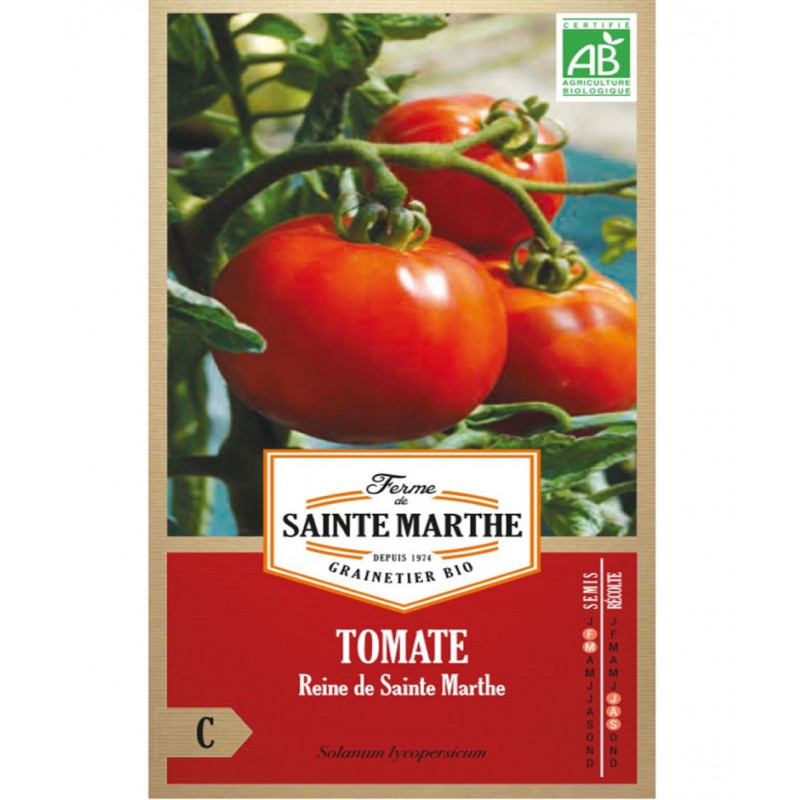 TOMATE REINE DE ST...